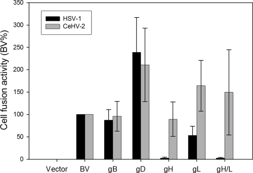 Fig 5