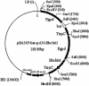 FIG. 8.