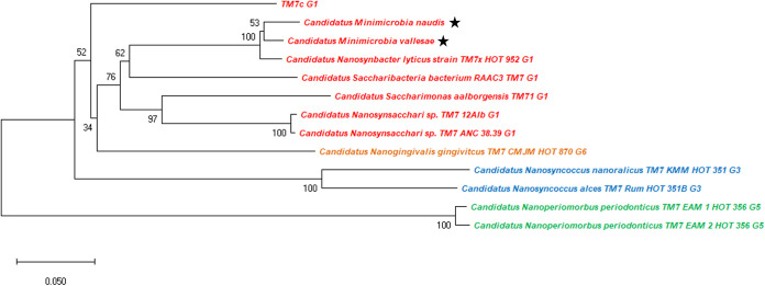 FIG 7