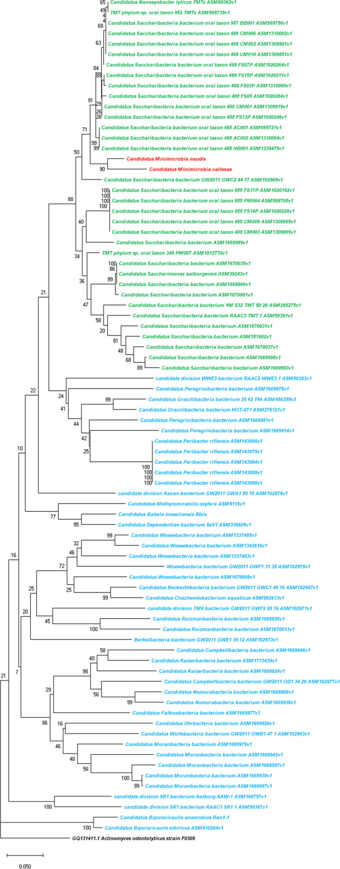 FIG 6