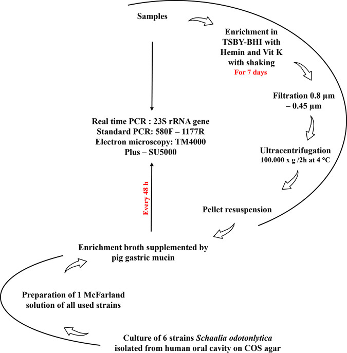 FIG 1