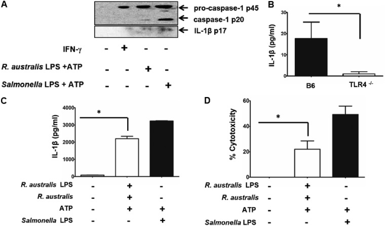 FIG 6