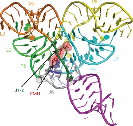 Fig. 6.