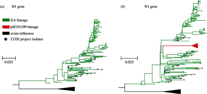 Figure 1.