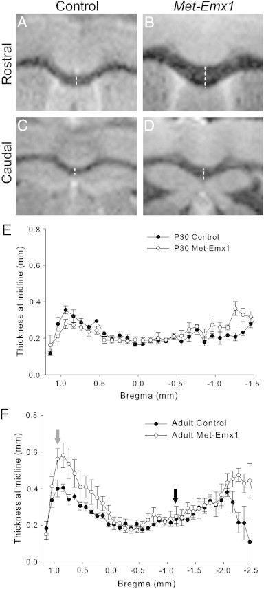 Fig. 7