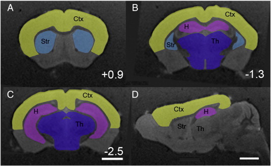 Fig. 1