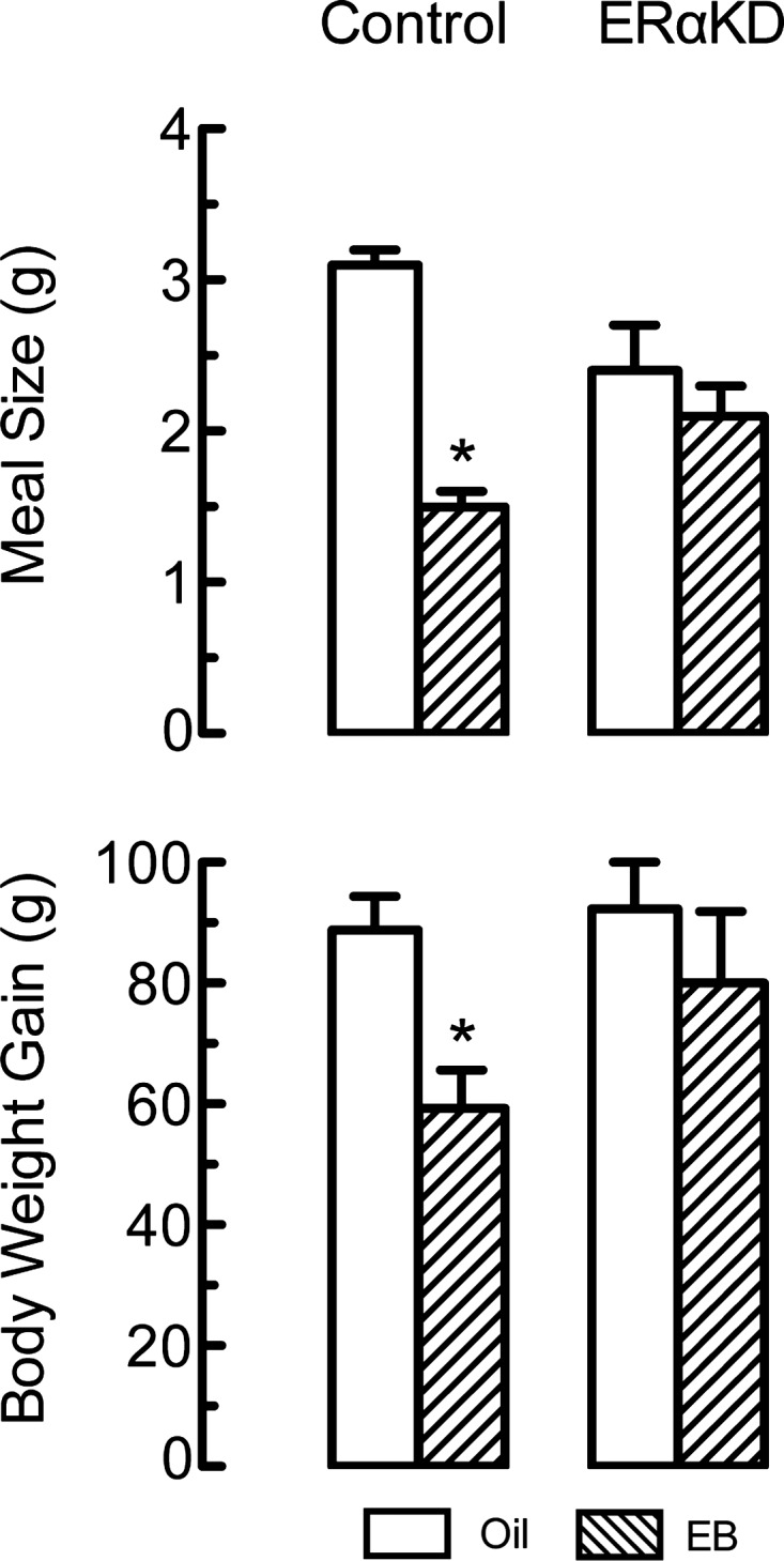 Fig. 9.