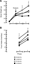 Fig. 18.