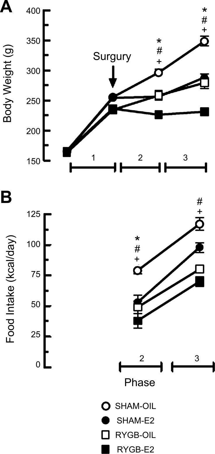 Fig. 18.