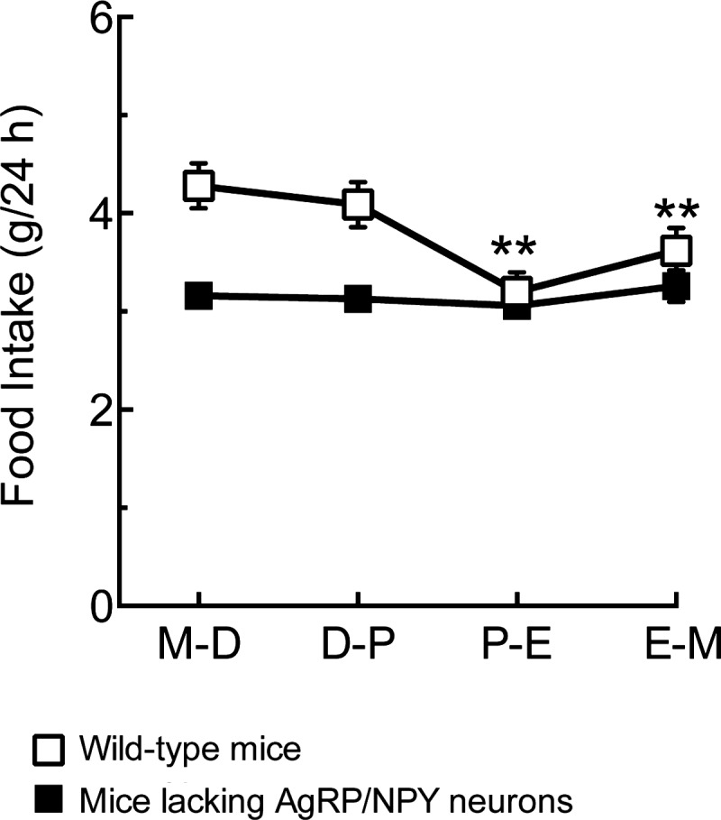 Fig. 14.