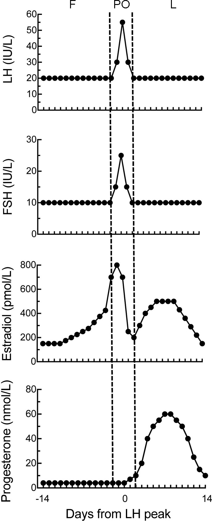 Fig. 3.