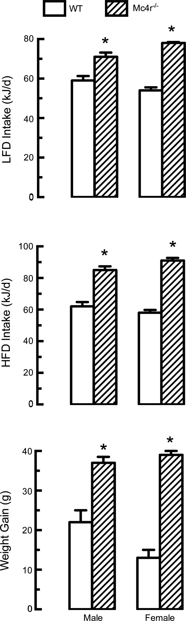 Fig. 13.