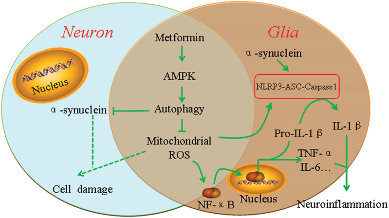 Figure 6.