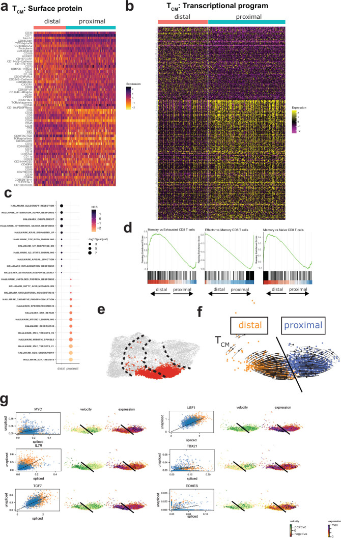 Extended Data Fig. 8