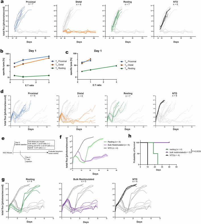 Extended Data Fig. 4