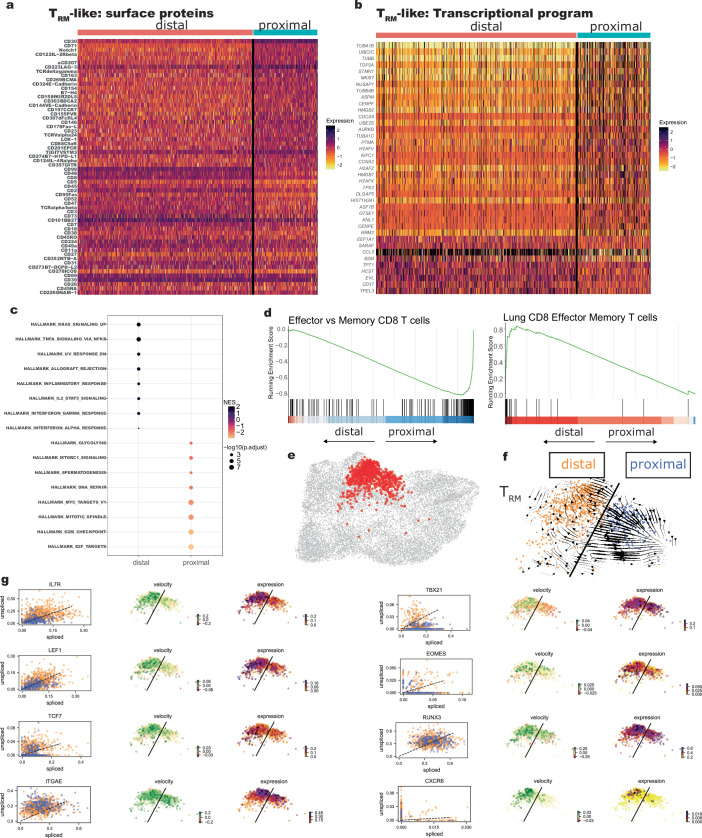 Extended Data Fig. 10