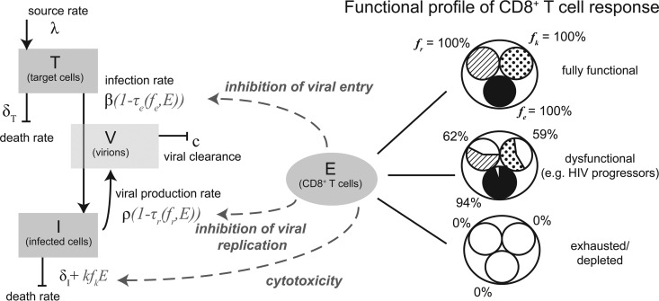 FIG 1