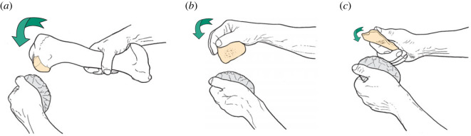 Figure 11. 