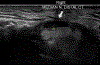 Figure 2 –