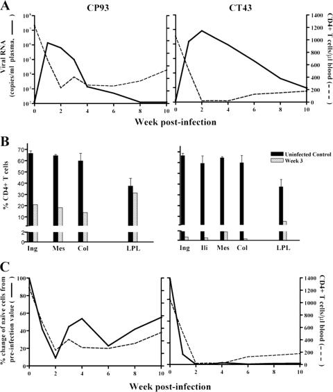 FIG. 8.