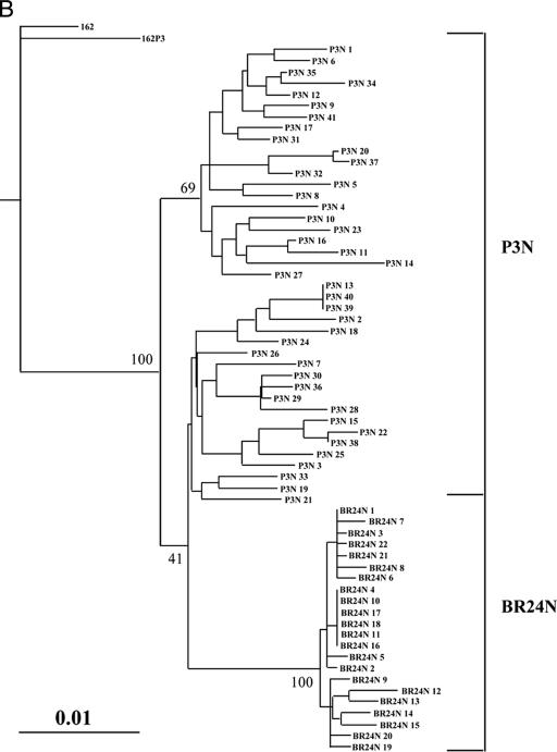 FIG. 5.