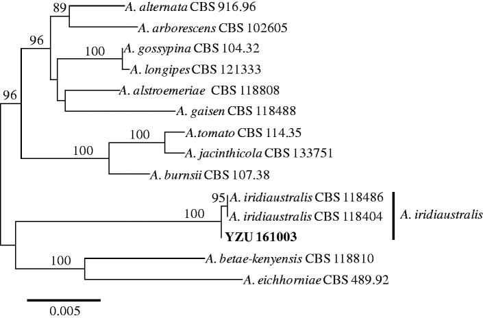 Figure 3.