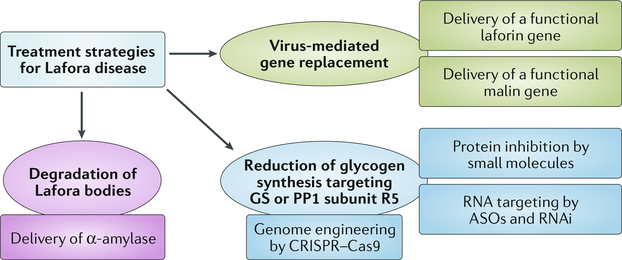 Fig. 5 |