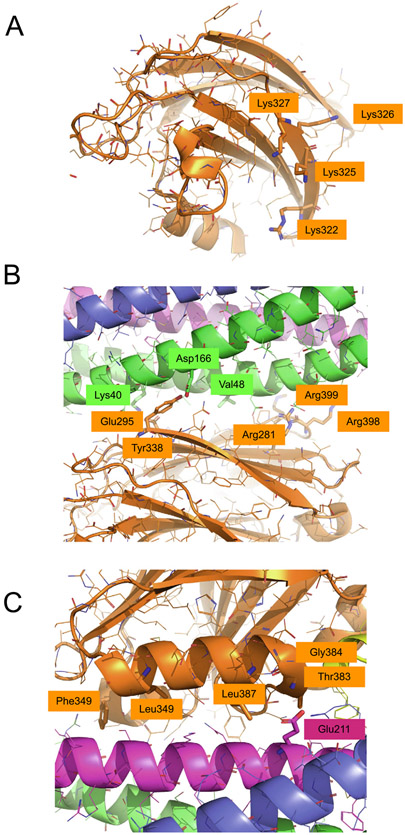 Figure 3.