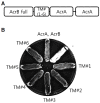 Fig. 1.