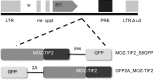 Supplementary Figure E1