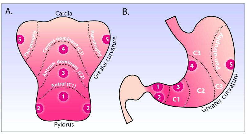 Figure 3. 