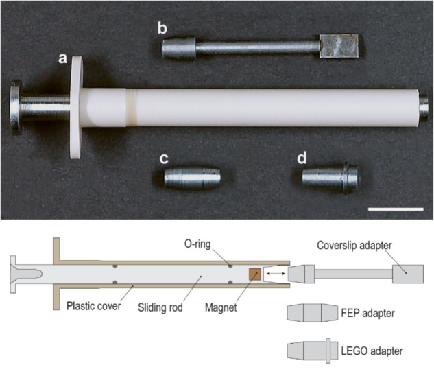 FIGURE 2