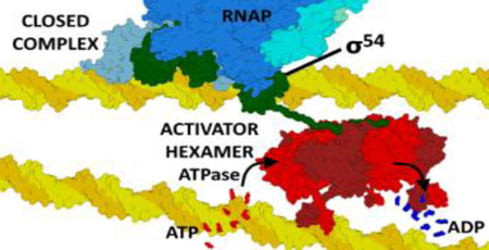 graphic file with name nihms824550f11.jpg