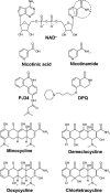 Fig. 5.