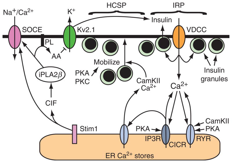 Figure 10.5