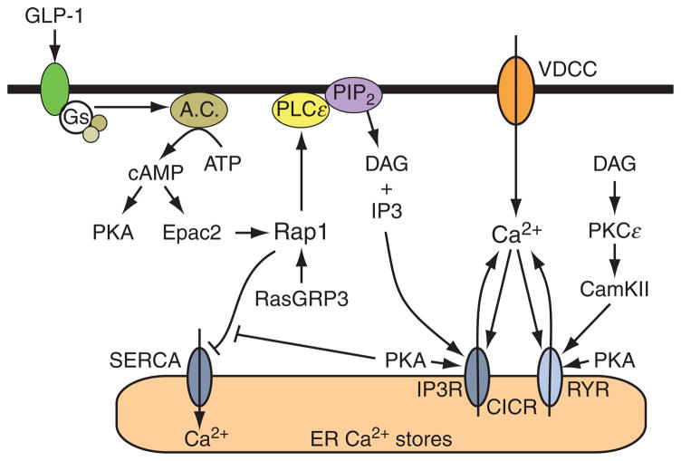 Figure 10.4