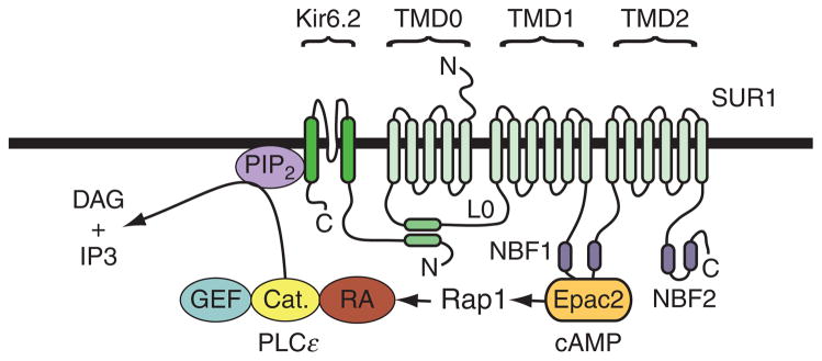 Figure 10.3