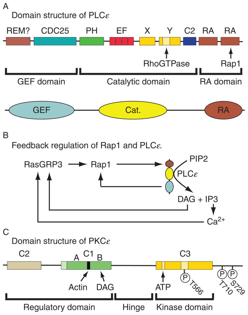 Figure 10.2