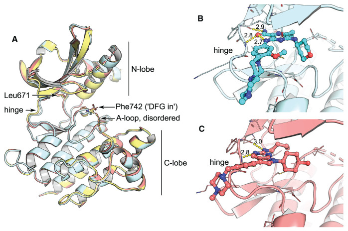 Figure 1.