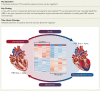 Structured Graphical Abstract