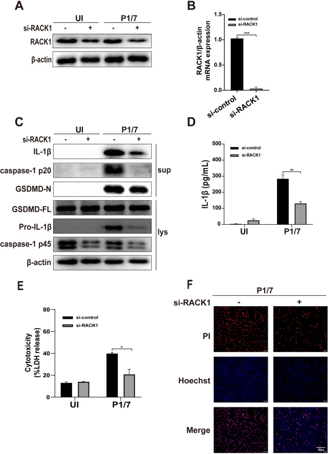 Figure 3