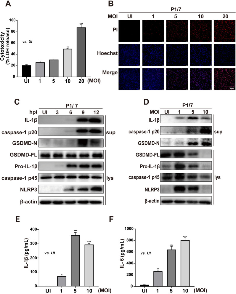 Figure 1