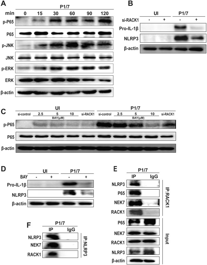 Figure 4