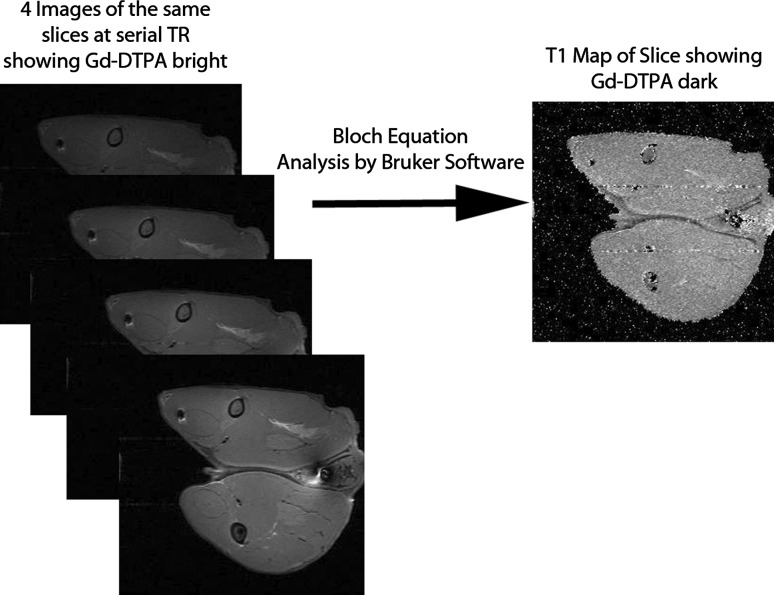 Fig. 2