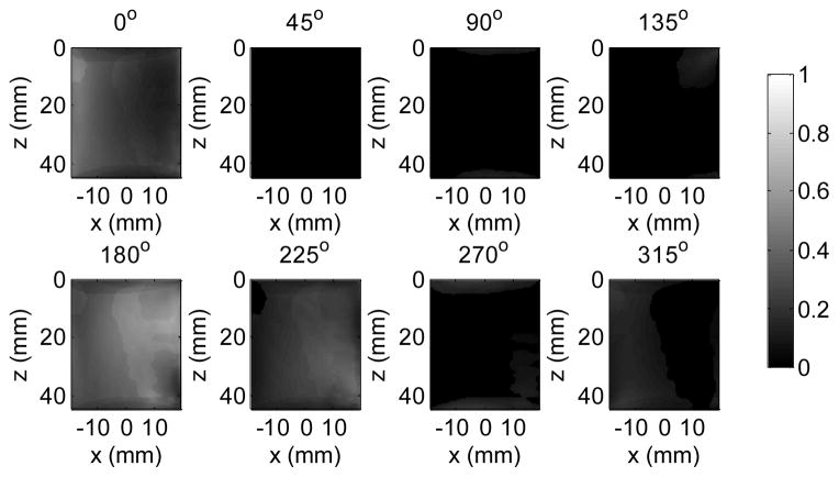 Fig. 8