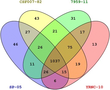 Figure 1