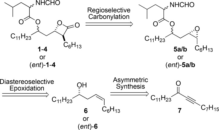 Scheme 1