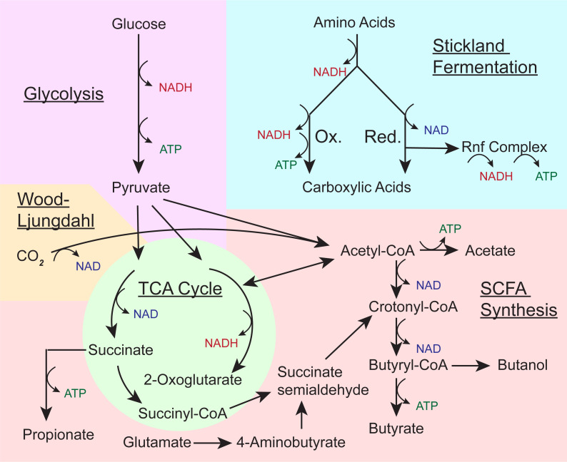 Fig 2