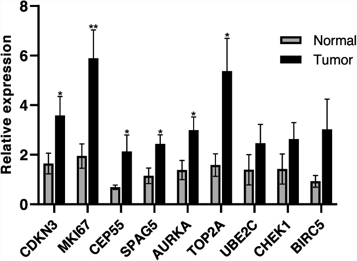 Figure 10