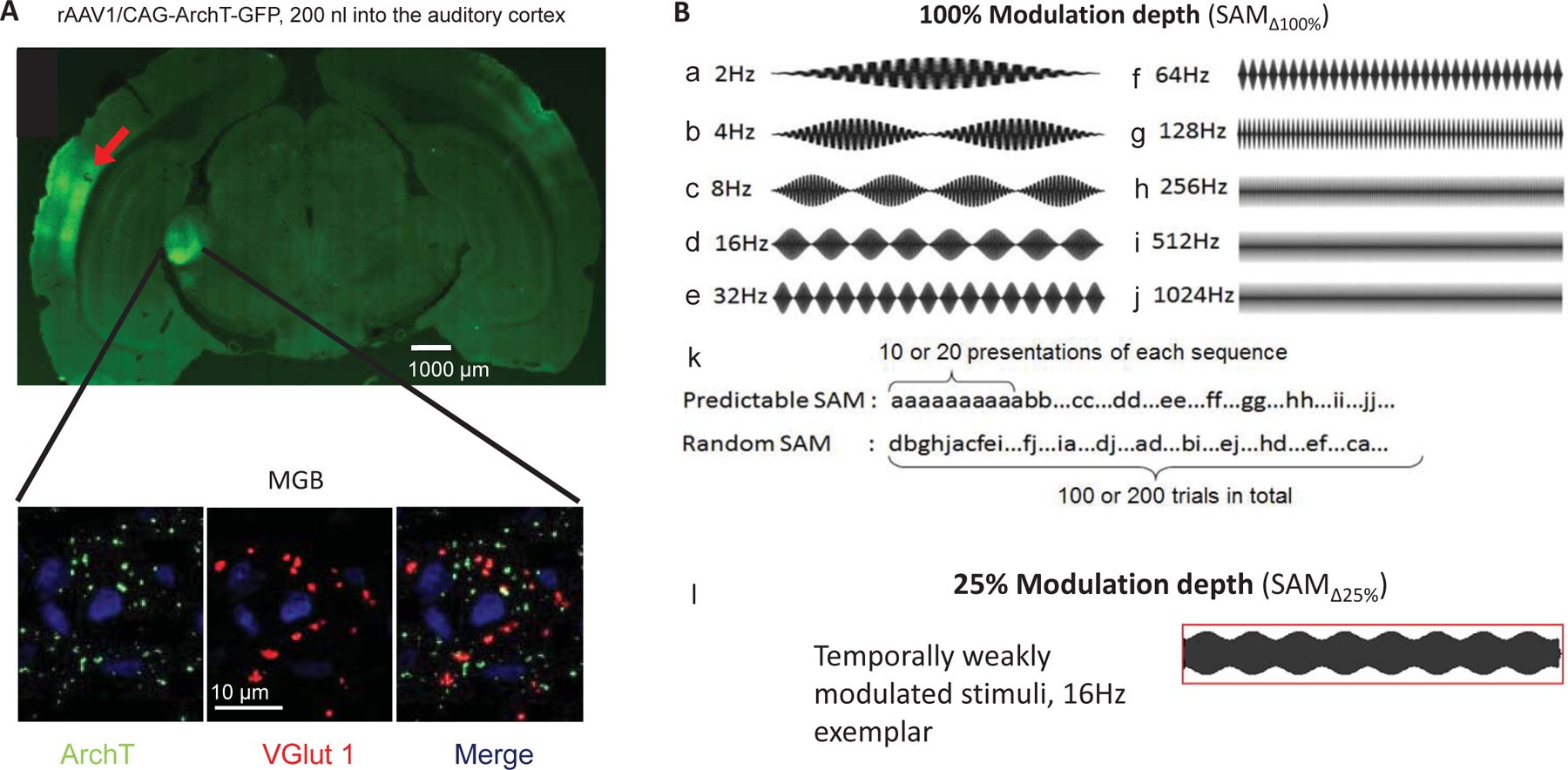 Figure 1: